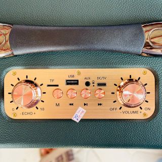 Loa Di Động Karaoke TW338 Kèm 2 Micro Không Dây Âm Thanh Trầm Ấm, Bass