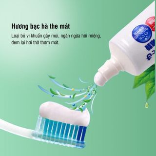 Kem Đánh Răng Nhật White & White ( Thùng 80 tuýp )