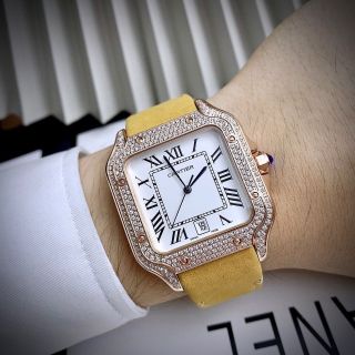 CARTEIR SANTSO WATCH