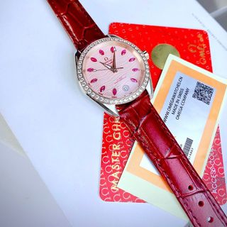 OMEAGG SEAMASTER AQUA TERRA