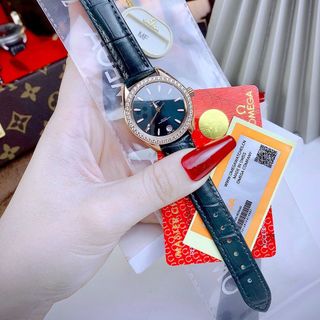 OMEAGG SEAMASTER AQUA TERRA