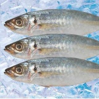 CÁ NỤC GAI NGUYÊN CON LÀM SẠCH 14/18 CON/KG, MB12% (THÙNG 10KG)