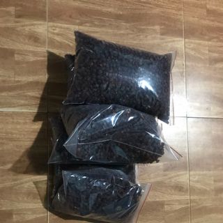 Hạt Dổi Nếp Rừng