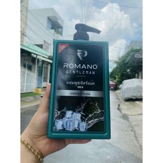 Dầu Gội Romenno (Thùng 30 Chai)
