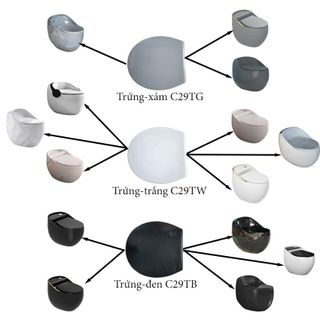 Nắp bồn cầu, nắp đậy bồn cầu, nắp bồn cầu trứng, nắp bồn cầu các loại làm từ nhựa với nhiều màu sắc và kích thước phù hợp với từng kiểu bồn cầu mã C29