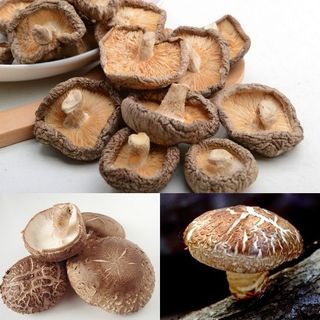 COMBO 500G Miến dong Làng So _ 200G Măng Khô - Đặc sản vùng cao_200G nấm đông cô khô _ 200G Nấm Mèo , Mộc Nhĩ Khô