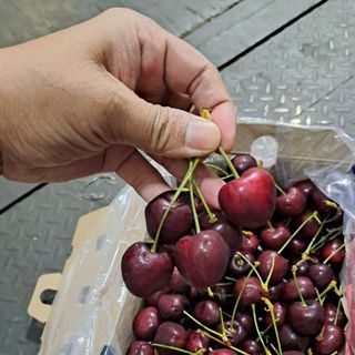 Cherry chile CERASUS 2hộp 2,5kg giá sỉ