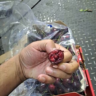 Cherry chile CERASUS 2hộp 2,5kg