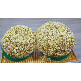 [TINPHATFOOD]  1Kg Đậu xanh làm giá/ ĐẬU XANH GIÁ/ Đỗ xanh làm giá tỉ lệ nảy mầm 100% (1kg đậu được 7-9 kg giá)