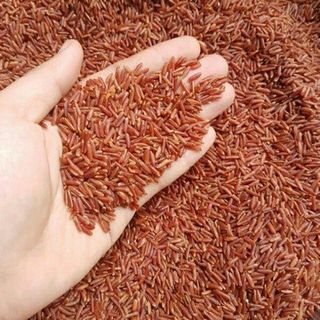 1KG Gạo Lứt Huyết Rồng Loại 1- Gạo lứt cho người ăn kiêng - Gạo lứt cho người tiểu đường _ Gạo lứt cho người xương khớp