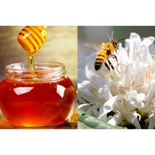 1 Lít Mật ong hoa cà phê nguyên chất - Mật ong Tây nguyên - thương hiệu mật ong thật giá trị thật - mật Ong Honey