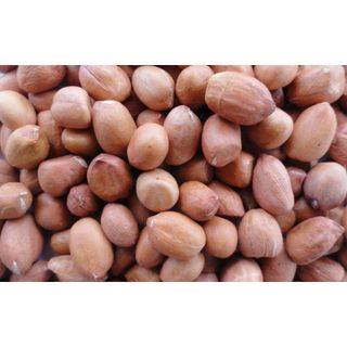 [HCM] 1KG ĐẬU PHỘNG SỐNG / ĐỖ LẠC SỐNG _ Hàng loại 1 chuẩn đẹp _ Nấu xôi đậu phộng, nấu chè đậu, làm bánh, làm kẹo đậu