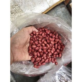 [HCM] 1KG ĐẬU PHỘNG SỐNG / ĐỖ LẠC SỐNG _ Hàng loại 1 chuẩn đẹp _ Nấu xôi đậu phộng, nấu chè đậu, làm bánh, làm kẹo đậu
