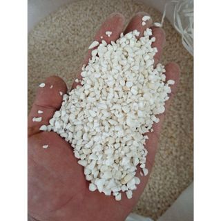 [Loại 1] 2Kg Bắp Nếp Hạt Bể Khô Làm Xôi Bắp , bắp hầm, bắp giã, sữa bắp nếp, chè bắp nếp Thơm Ngon