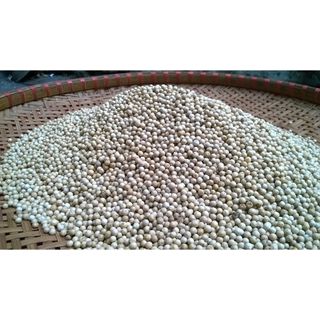 1KG Hạt TIÊU SỌ TRẮNG _ HẠT TIÊU LOẠI 1_ hạt tiêu trắng Tây nguyên - Hạt tiêu sạch 100%