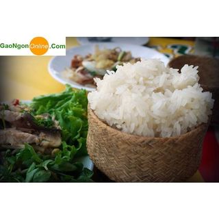 [HCM] 1KG Gạo Nếp Nương hạt tròn - Nếp Bắc Nương Hạt Tròn Dẻo Ngọt, Nếp đồi Thơm ngon, Mềm_ Nếp Nương loại 1