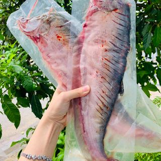 CÁ THÁC LÁC RÚT XƯƠNG SET 3 CON TƯƠI NGON