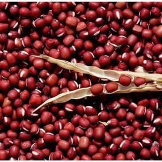 ĐẬU ĐỎ NGUYÊN HẠT HÀNG CHUẨN ĐẸP 1KG _ Nấu xôi, nấu cháo, nấu chè, làm bánh, làm ngũ cốc dinh dưỡng