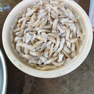 Ruột ốc móng tay đã làm sạch