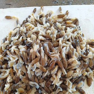 Ruột ốc móng tay đã làm sạch