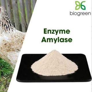Bán enzyme Amylase tăng cường chức năng tiêu hóa, điều trị bệnh đường ruột ở vật nuôi giá sỉ