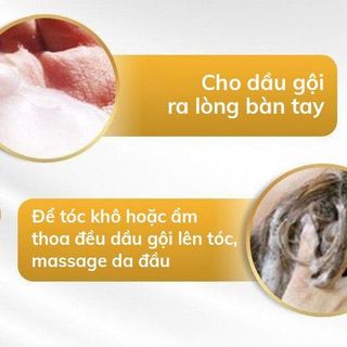 DẦU GỘI PHỦ BẠC SIN HAIR NHẬT BẢN - HGS