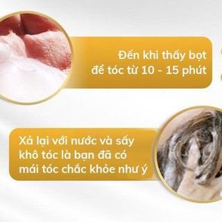 DẦU GỘI PHỦ BẠC SIN HAIR NHẬT BẢN - HGS