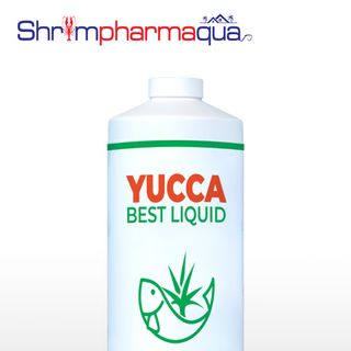 YUCCA BEST LIQUID - Hấp thu khí độc NH3, H2S, xử lý mùi hôi. giá sỉ