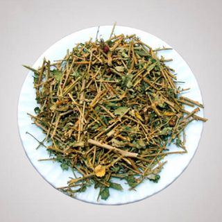 Cà gai leo khô  thượng hạng giúp hạ men gan sỉ từ 5kg