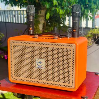 Loa Di Động Karaoke TW338 Kèm 2 Micro Không Dây Âm Thanh Trầm Ấm, Bass Căng Kết Nối Bluetooth, AUX, USB, Thẻ Nhớ, Dung Lượng Pin 4000mAh