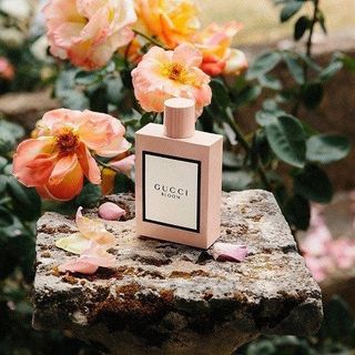 Nước Hoa Gu cci Bloom Eau De Parfum Vaporisateur Natural Spray ( màu hồng) giá sỉ