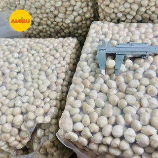 Hạt mắc ca nứt vỏ giá sỉ - giá bán buôn (xuất hoá đơn nếu cần)