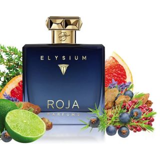 Nước Hoa Nam Rojaaa Parfums Elysiummm 100ML - Đẳng Cấp Qúy Ông giá sỉ