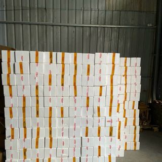 Bình nước thuỷ tinh 2,5L kèm vòi & đế gỗ