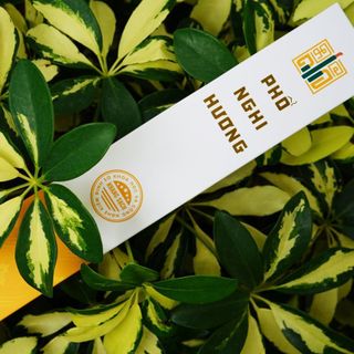 Hương Thơm Nhẹ Nhàng Thanh Mát - Nhang Sạch Hương Thảo An Nhiên - Nhang Chung Cư, Không Đậu Tàn, Nguyên Liệu Tự Nhiên, Tẩy Mùi Ẩm Mốc Uế khí - Nhang Thắp Hương - Cao 32cm, 75g.