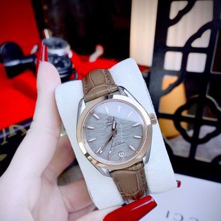 OMEAG SEAMASTERR AQUA TERRA