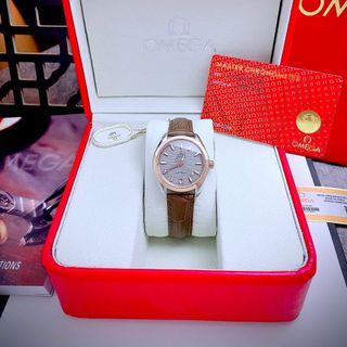 OMEAG SEAMASTERR AQUA TERRA