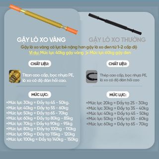 Gậy lò xo tập cơ tay 100kg Dụng cụ bẻ tập cơ tay ngực tập gym thể dục thể thao Tặng kèm túi đựng tiện lợi