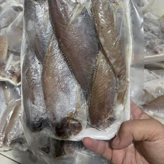 CÁ ĐÙ NGUYÊN CON SIZE 12 -14, CÁ ĐÙ XẺ