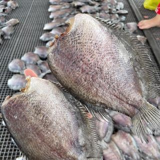 Khô cá sặc size 8 con