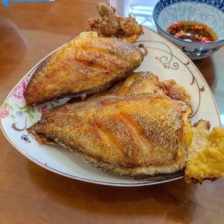 Cá sặc trứng 1 nắng, kho chuyên sỉ giá tốt
