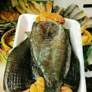 Cá sặc trứng 1 nắng, kho chuyên sỉ giá tốt