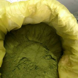 Sỉ bột trà xanh gói 100g