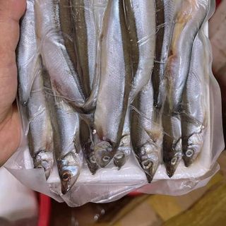 Cá trứng Nauy, 70% trứng, Kho chuyên sỉ giá tốt