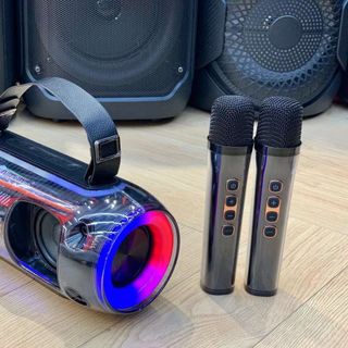 Loa Karaoke NR-8806W Hai míc không dây