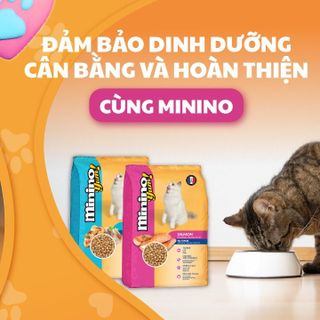 Hạt thức ăn khô cho mèo Minino Yum - chính hàng ADM giá sỉ
