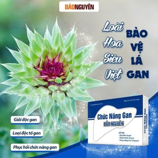Viên Uống Chức Năng Gan Bảo Nguyên [Hộp 30 Viên]