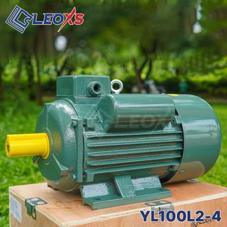 Động cơ điện 1 pha YL100L2-4 công suất 4 HP | Mô tơ điện Xtra