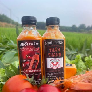 [ CHAI LỚN ] 450G NƯỚC CHẤM THẦN THÁNH THÚY HIỀN