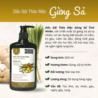 Dầu Gội Gừng Sả Tinh Nhiên 300 ml Chống Gàu, Chống Viêm, Diệt Khuẩn, Diệt Nấm Da Đầu
